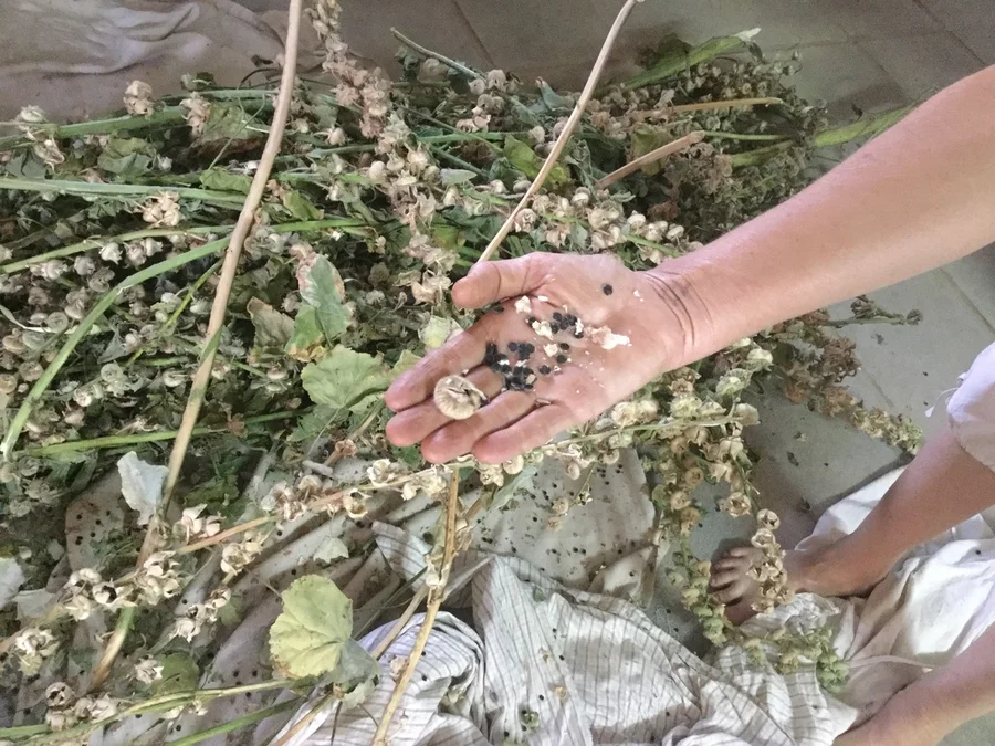 sangri cleaning action 1200